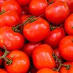 Dia do Tomate: aprenda receitas especiais com o fruto