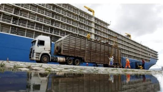 NADA, maior navio do mundo para transporte de animais com 201 x 32 metros de tamanho