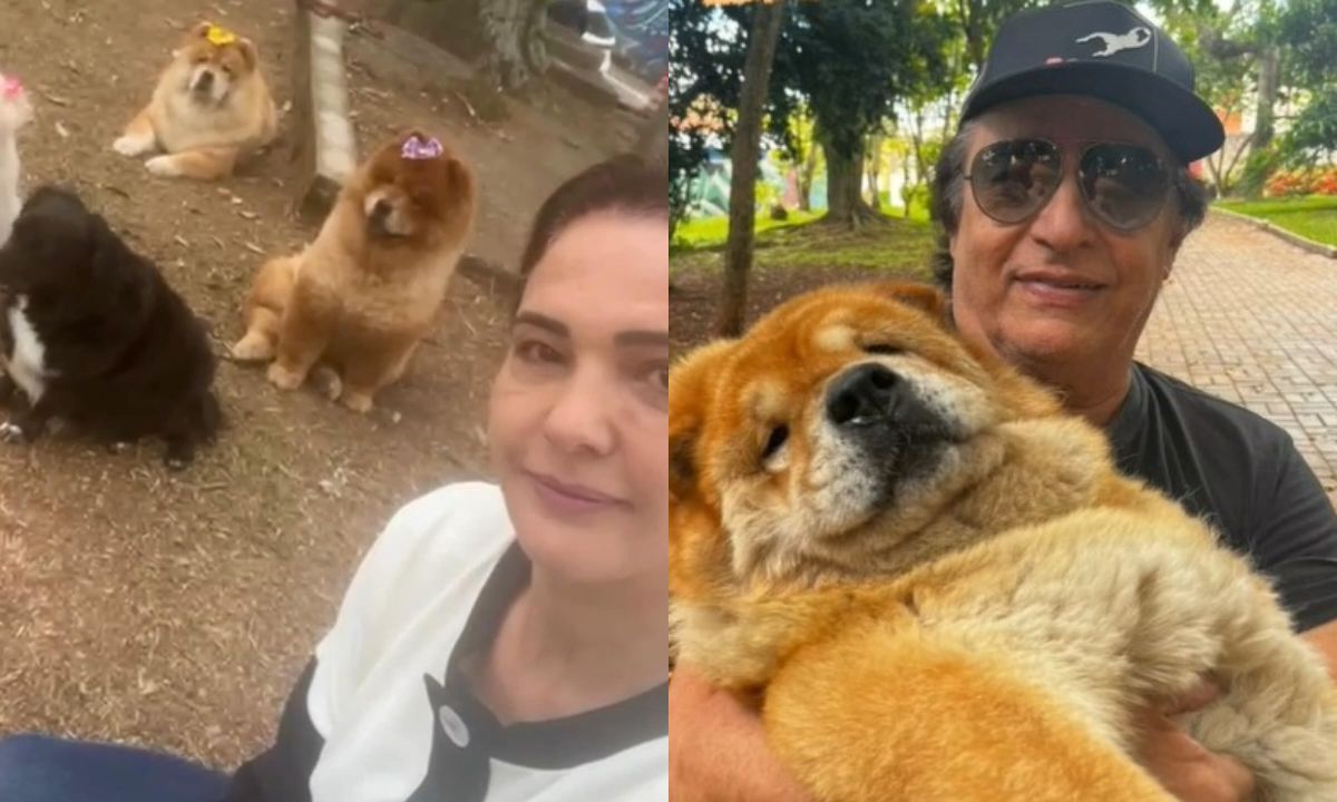 Ex-esposa de Nahim mostra rotina dos cachorros após a morte do cantor