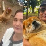 Ex-esposa de Nahim mostra rotina dos cachorros após a morte do cantor