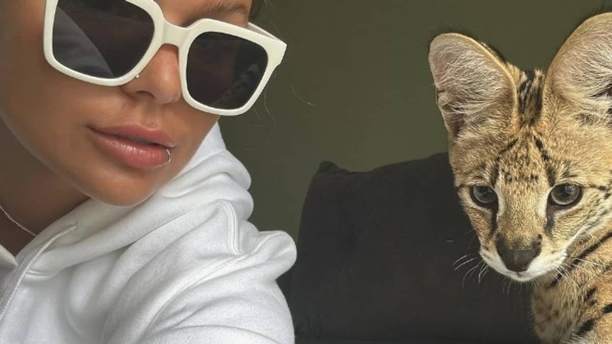 MC Oruam exibe gato de estimação avaliado em R$ 100 mil que parece uma onça
