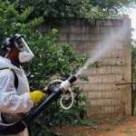 Minas registra 74 mortes e mais de 133 mil casos confirmados de dengue