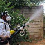 Minas registra 74 mortes e mais de 133 mil casos confirmados de dengue
