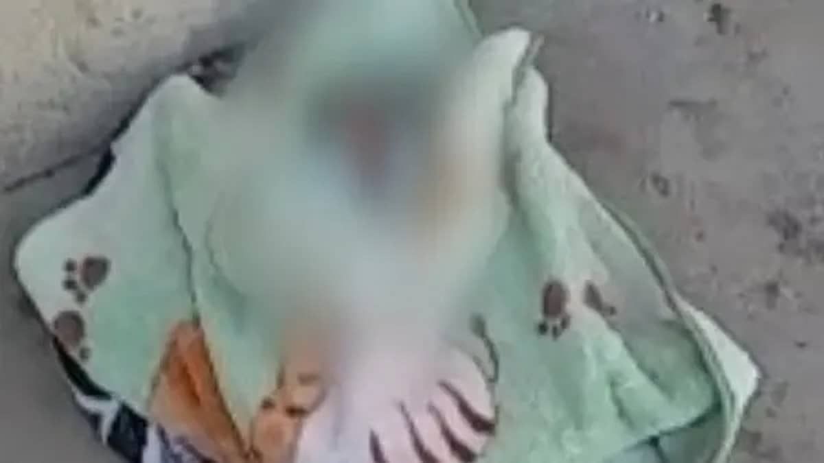 Mãe de bebê abandonado em sacola de supermercado na Grande BH é presa