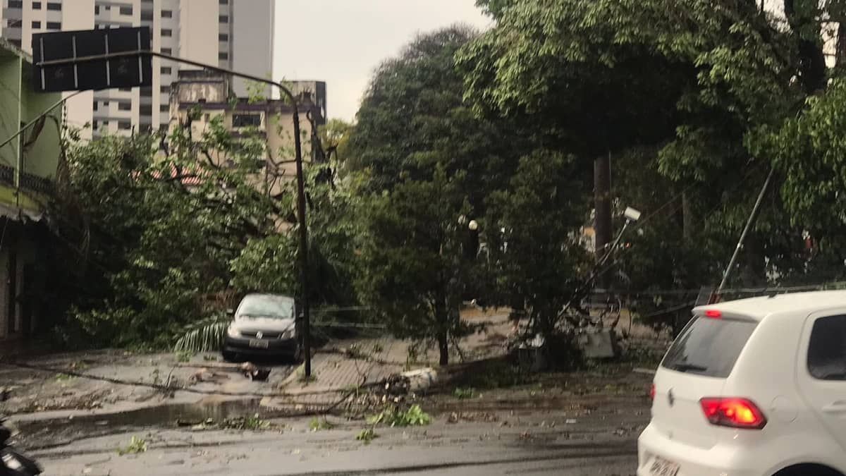 Fortes chuvas causam estragos e cancelam aulas em Lavras (MG); veja imagens