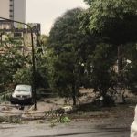 Fortes chuvas causam estragos e cancelam aulas em Lavras (MG); veja imagens