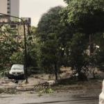 Fortes chuvas causam estragos e cancelam aulas em Lavras (MG); veja imagens