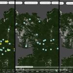 Não há mais alertas de garimpo ilegal no Território Yanomami, diz PF