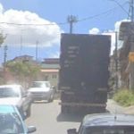 Três crianças são atacadas por enxame de abelhas na Grande BH