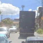 Três crianças são atacadas por enxame de abelhas na Grande BH