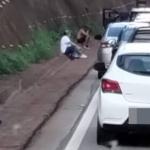 Após 5 horas de interdição, motoristas sentam no chão para esperar liberação da Fernão Dias