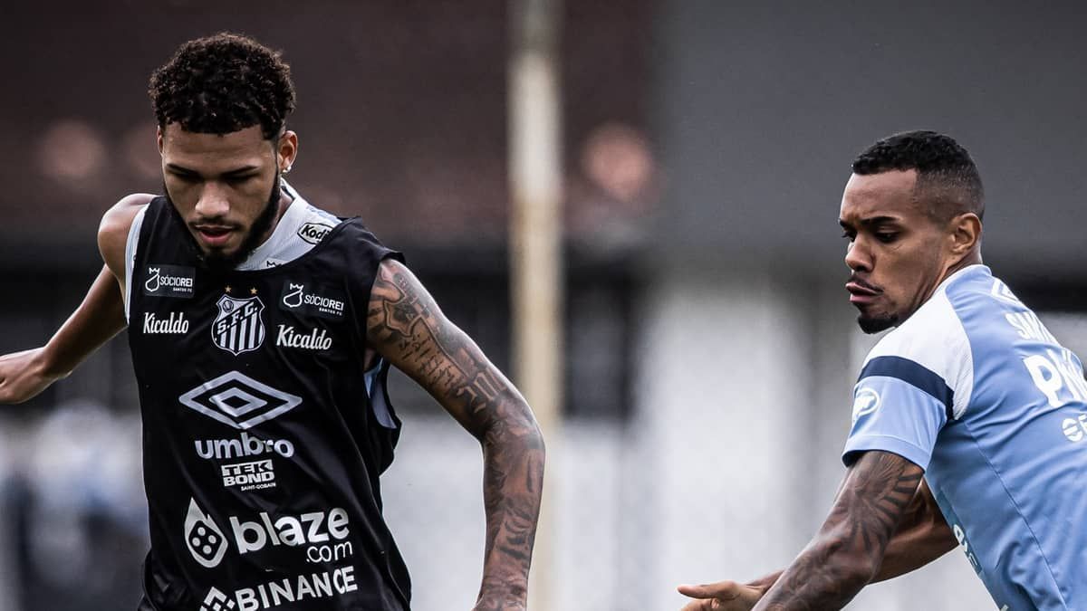 Santos anuncia afastamento de Nathan e Lucas Pires