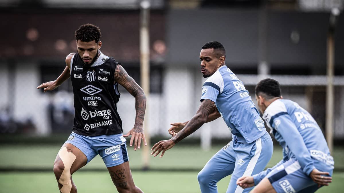 Dupla do Santos fica fora de treino após intimidação de torcedores