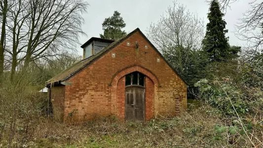 Necrotério fica em terreno coberto por arbustos e mato alto