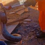 Jiboia de 1,5 metro é capturada no quintal de casa em Minas