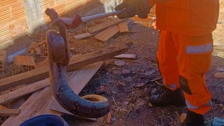Nenhum morador ficou ferido na ocorrência