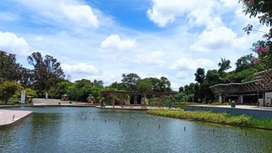 Nesta sexta-feira (7) não haverá nenhum serviço de limpeza urbana em Belo Horizonte