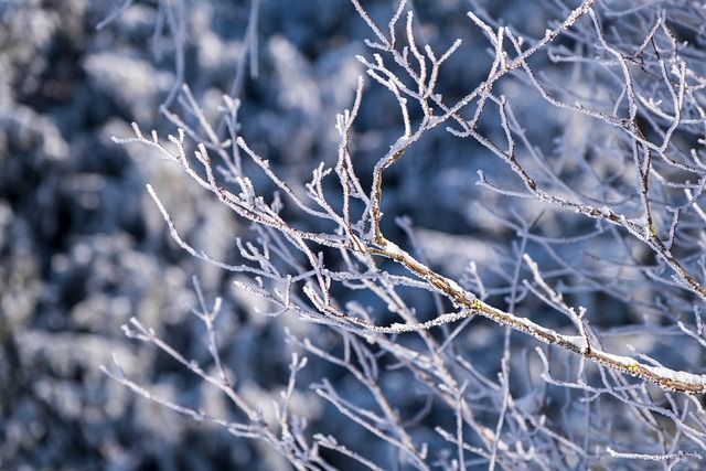 Brasil pode ter neve e chuva congelada neste final de semana; veja onde
