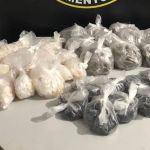 Polícia apreende mais de 2 mil pedras de crack e 800 pinos de cocaína na Grande BH