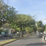 Motorista alcoolizado capota Kombi, tenta fugir da polícia e provoca confusão em BH