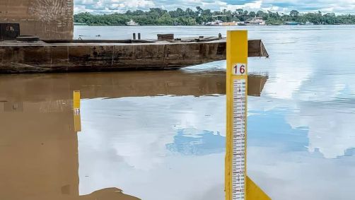 Nível rio Pará -