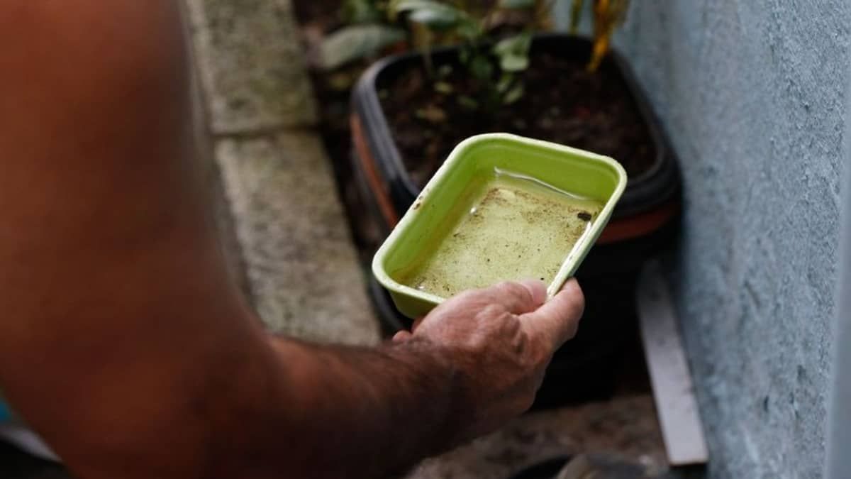 Dengue: casos suspeitos em Minas se aproximam de 400 mil em 2023