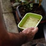 Dengue: casos suspeitos em Minas se aproximam de 400 mil em 2023