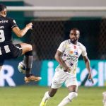 Botafogo x Goiás: veja os prováveis times pelo Campeonato Brasileiro