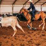 Expobom oferecerá até prova de Ranch Sorting; conheça o esporte rural que tem atraído centenas de praticantes