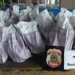 Uma ação conjunta da Polícia Federal com a Receita Federal apreendeu 561 kg de cocaína no Porto de Santos, no litoral de São Paulo