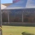 Blitz Rádio Vivo: ônibus circula com portas abertas na rodovia Fernão Dias em Betim