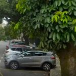 Carnaval: estacionamento rotativo será liberado durante o período de folia em BH