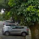 Carnaval: estacionamento rotativo será liberado durante o período de folia em BH