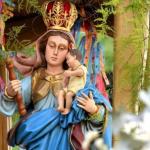 Igreja Católica celebra festividade de Nossa Senhora dos Impossíveis em Juiz de Fora