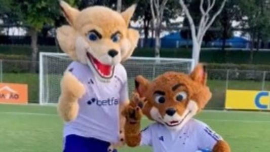 Nova identidade dos mascotes Raposão e Raposinha