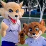 Raposão e Raposinho comprovam: Cruzeiro está muito distante da torcida!