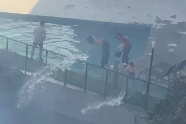 Vídeo: moradores de condomínios de luxo de Nova Lima tentam apagar incêndio com água de piscina
