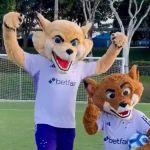 Cruzeiro: polêmica leva termo Raposão ao Top 10 dos assuntos no Twitter mundial