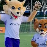 Novo Raposão cancelado? Organizadas dizem que Cruzeiro 'reconheceu erro' 