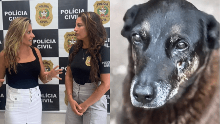 Cão Orelha foi brutalmente agredido