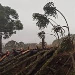 Novo ciclone leva tempestades com raios e ventos moderados ao Sul nesta quarta