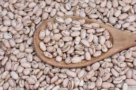 Novo feijão biofortificado