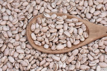 Novo feijão biofortificado