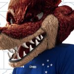 Comitê de Torcedores do Cruzeiro aprova novo Raposão; saiba quando será estreia