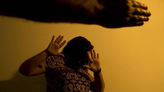 Novo serviço começa a funcionar nesta terça-feira e será feito pela atendente virtual chamada Pagu