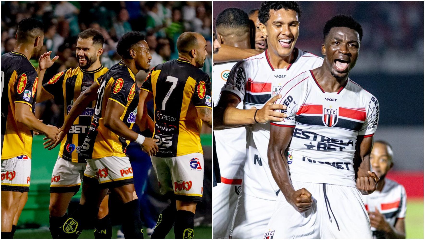 Novorizontino x Botafogo-SP: horário e onde assistir ao vivo pela Série B