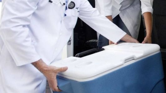 Número de transplantes cresce no Brasil