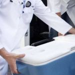 Número de transplantes de coração cresce 16% em 2023, segundo o Governo Federal