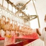 Israel x Hamas preocupa agro brasileiro