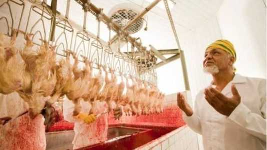 O abate halal obedece critérios islâmicos e o kosher segue normas do judaísmo praticado em Israel